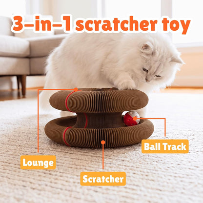 KITTY KURLZ Interactive Cat Toy & Cardboard Cat Scratcher | Collapsible Ball Track with Bell, for Indoor Cats, Reversible Scratch Ring, Play, Chase and Lounge3