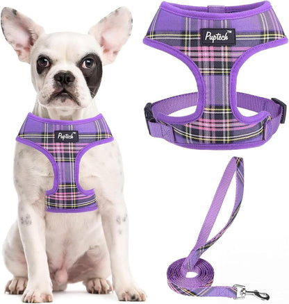 PUPTECK Soft Mesh Dog Harness Small Sized and Leash Set Pet Puppy Cat Comfort Padded Vest No Pull Harnesses, Beige, S31