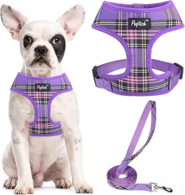 PUPTECK Soft Mesh Dog Harness Small Sized and Leash Set Pet Puppy Cat Comfort Padded Vest No Pull Harnesses, Beige, S31