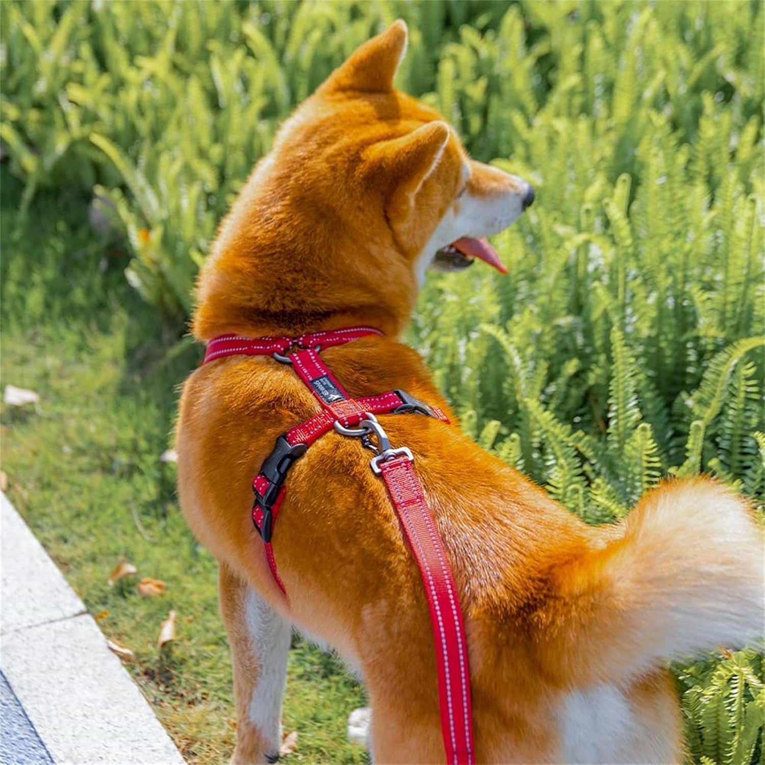 excellent-elite-spanker-no-pull-dog-harness-reflective-nylon-vest-l-shaped-adjustable-easy-pet-harness-for-small-medium-large-breeds-dogs-walking-training-black-redpink-m