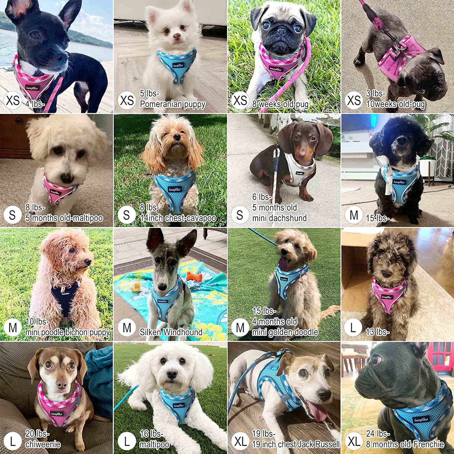 haapaw-dog-harness-with-leash-set-no-pull-adjustable-reflective-step-in-puppy-harness-with-thickened-padded-vest-for-extra-small-small-medium-dogs