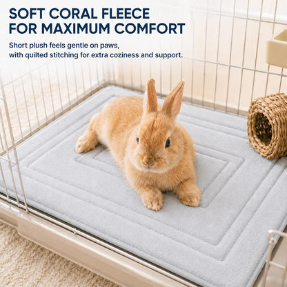 Cat Bed Mat, Memory Foam, Waterproof Non-Slip Base, 24 X 16 in | Soft Coral Fleece, Slow-Rebound Memory Foam and Full Rubber Backing; Machine Washable for Crates, Pet Beds and Floors.6