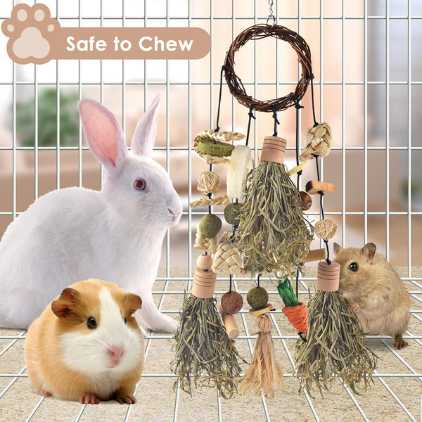 Bissap Rabbit Chew Toy Snack for Small Pet | Bunny Cage Hanging Chewing, Natural Teeth Grinding Toy Treat, for Guinea Pig Chinchilla Hamster Rat (Timothy Hay & Vine)3