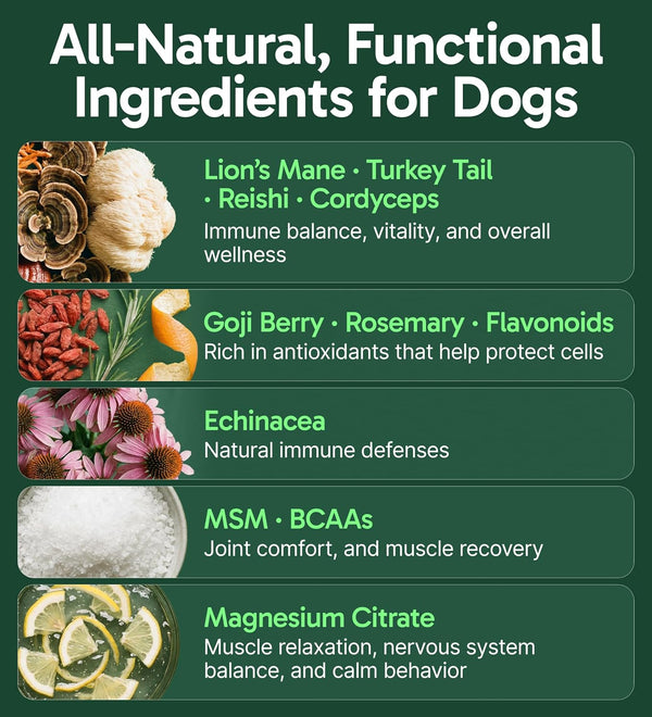 K9 Immune, All-Natural Mushroom Powder for Dogs for Immunity, Digestion, Joints, & Energy, Antioxidant-Rich & Usa-Made, Dog Immune Support with Turkey Tail Mushroom for Dogs, 30 Servings3