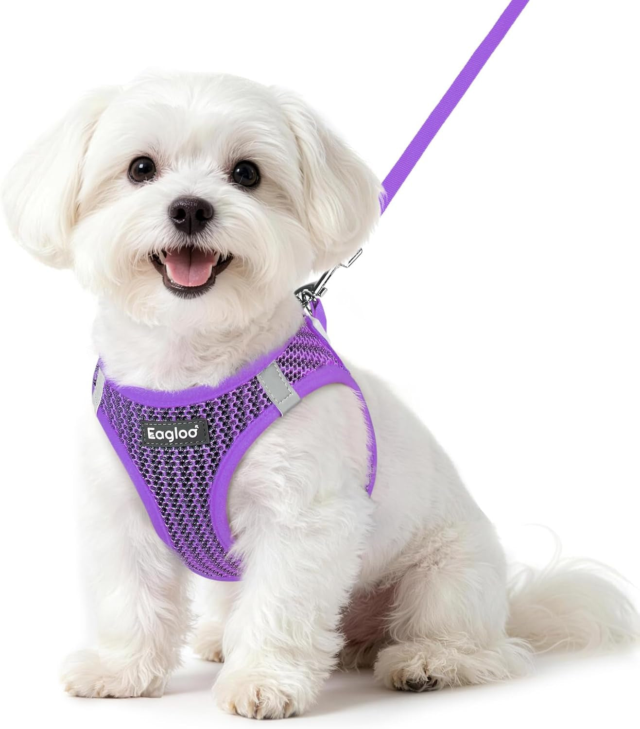 eagloo-small-dog-harness-and-leash-set-step-in-small-sized-puppy-pet-vest-light-soft-breathable-air-mesh-easy-on-and-off-with-hook-loop-reflective-for-safe-walking-pink-s