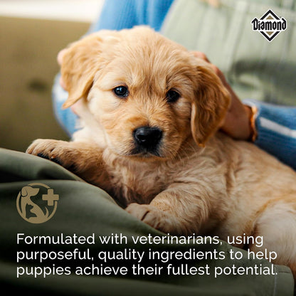 Diamond Puppy High Protein Dry Dog Food, Chicken Protein, 40Lb | Puppy, Adult & Senior Dogs | DHA for Proper Brain & Vision Development | Guaranteed Probiotics for Digestive Support5