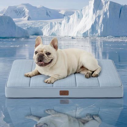 Bedsure Washable Dog Beds Large Sized Dog with Comfy Sherpa, 36X27In Grey | Orthopedic Egg Crate Foam,Comfort Support Flat Rectangle Pet Mat,Non-Slip Bottom,Removable Cover,For Large Breed up to 55 Lbs24