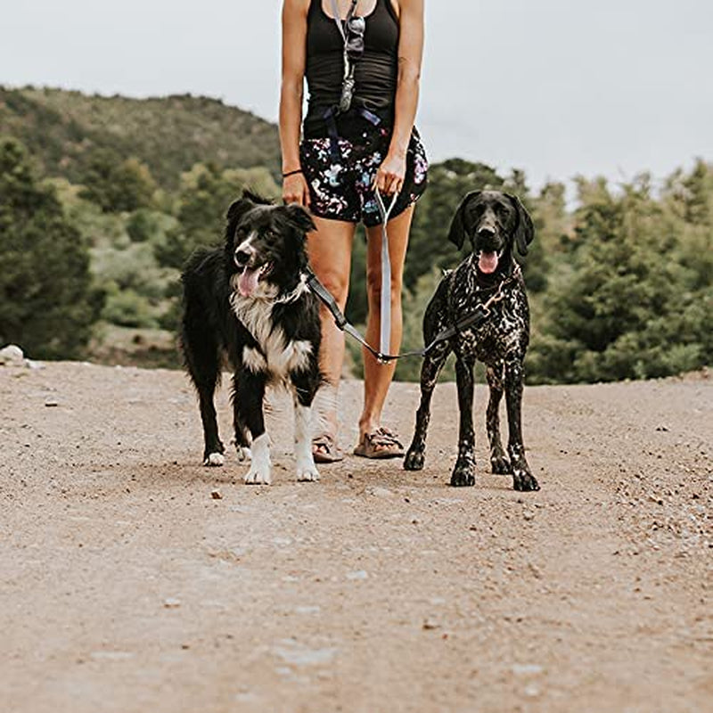 mighty-paw-double-dog-leash-no-tangle-adjustable-split-lead-for-two-dogs-fits-0-100-lb-16-24-in-range-reflective-stitching-waterproof-neoprene-padded-handle