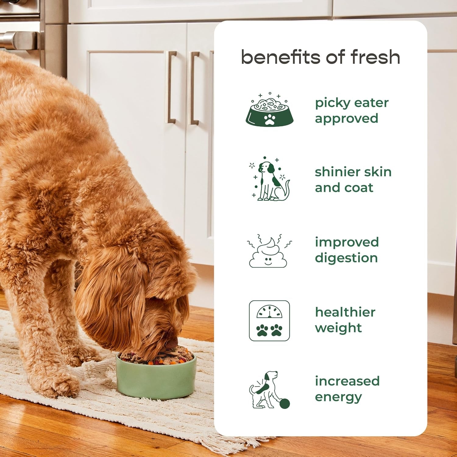 freshpet-select-multi-protein-recipe-dog-food-1-5-pound