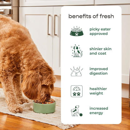 Freshpet Fresh Dog Food, Slice & Serve Roll, Chunky Chicken & Turkey Recipe, 1.5 Lb7
