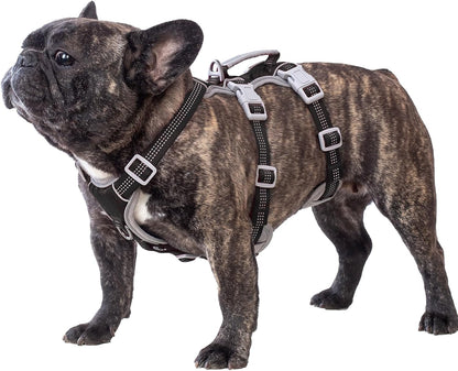 Huntboo Escape Proof Dog Harness, Escape Artist Harness, Reflective Harness with Padded Handle, Breathable, Durable, Adjustable Vest for Medium Dogs Walking, Training, and Running Gear (Blue, M)7
