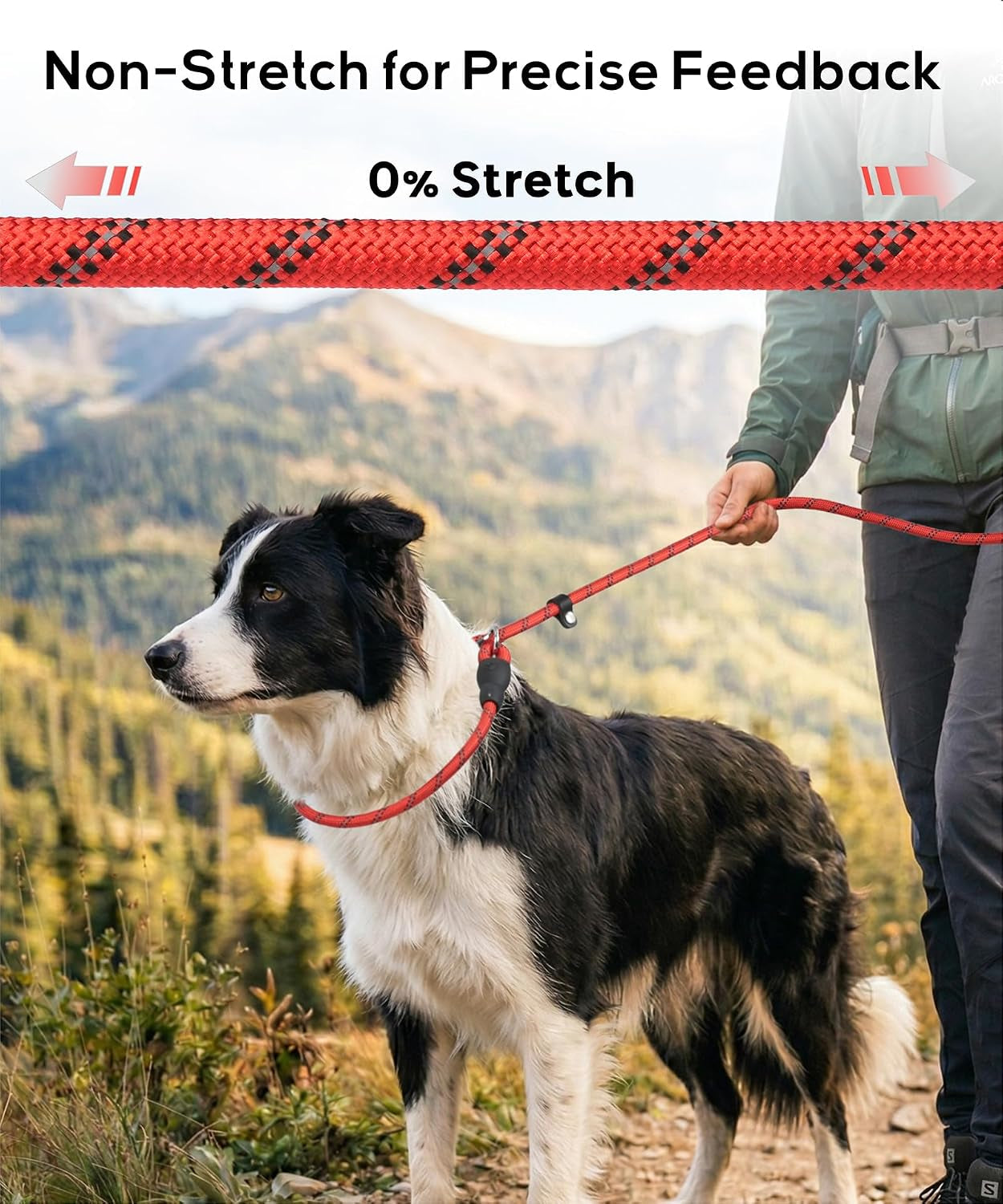 tagme-slip-lead-for-dogs-no-pull-training-leash-padded-handle-hot-pink-braided-climbing-rope-reflective-stitching-6-ft-fits-small-to-large-dogs-up-to-250-lbs-cushioned-grip-no-leash-burn