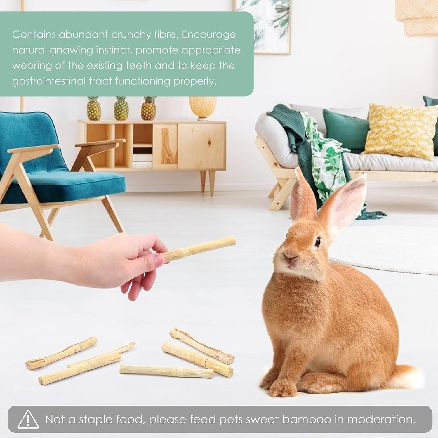 bissap-250g-0-5ib-sweet-bamboo-chew-sticks-for-rabbits-bunny-molar-treats-snack-for-small-animals-hamster-chinchilla-guinea-pigs-rabbit-squirrel-natural-teeth-grinding-toys