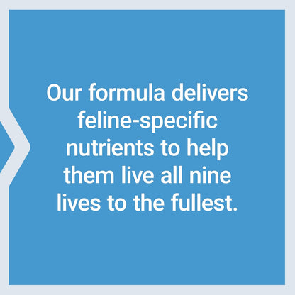 Life Extension Cat Mix, Cat Food Supplements, Heart Health, Probiotics, L-Arginine, Taurine, B12, Folic Acid, Vitamin C, Vitamin E, Rosemary, Nutrient Absorption, Gluten-Free, Non-Gmo, 85 Servings | with Probiotics, L-Arginine, Taurine, B12, Folic Acid, Vitamin C & E & Rosemary for Heart Health & Nutrient Absorption7