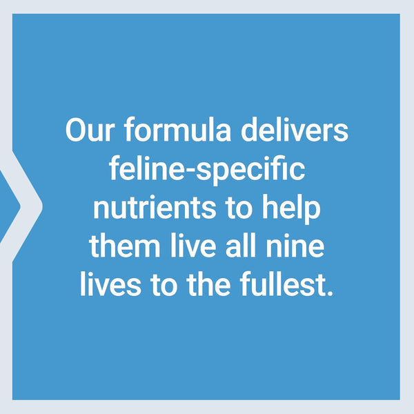 Life Extension Cat Mix, Cat Food Supplements, Heart Health, Probiotics, L-Arginine, Taurine, B12, Folic Acid, Vitamin C, Vitamin E, Rosemary, Nutrient Absorption, Gluten-Free, Non-Gmo, 85 Servings | with Probiotics, L-Arginine, Taurine, B12, Folic Acid, Vitamin C & E & Rosemary for Heart Health & Nutrient Absorption7