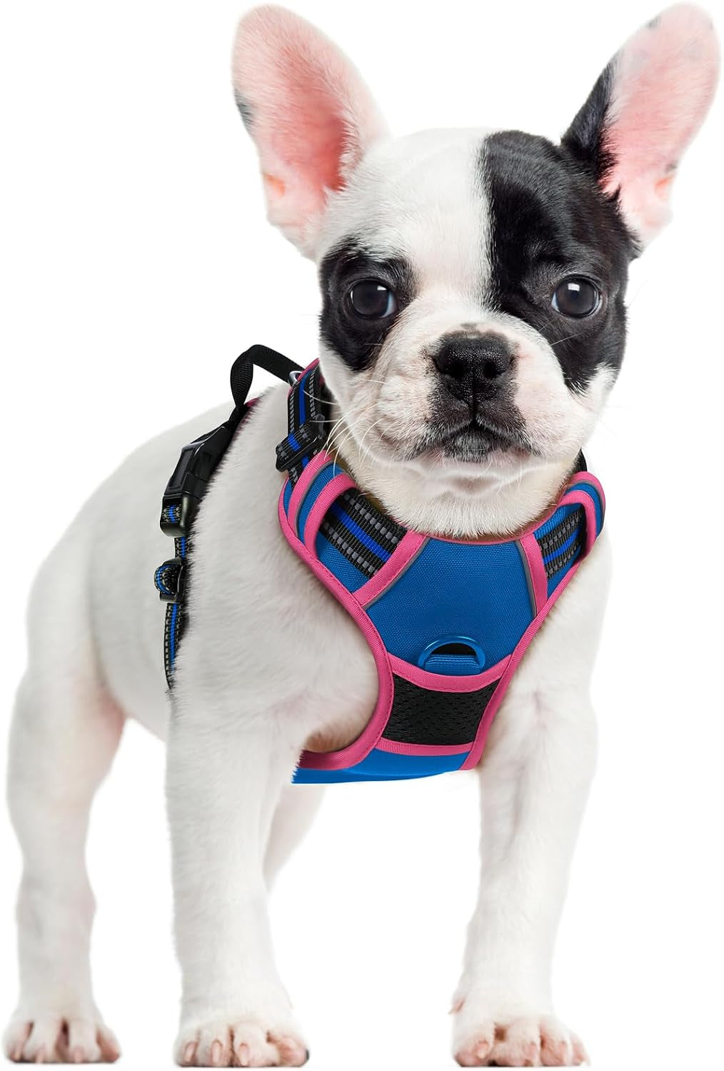 rabbitgoo-dog-harness-no-pull-for-large-dogs-with-2-leash-clips-pet-vest-no-choke-with-handle-adjustable-soft-padded-reflective-easy-control-for-walking-black-large