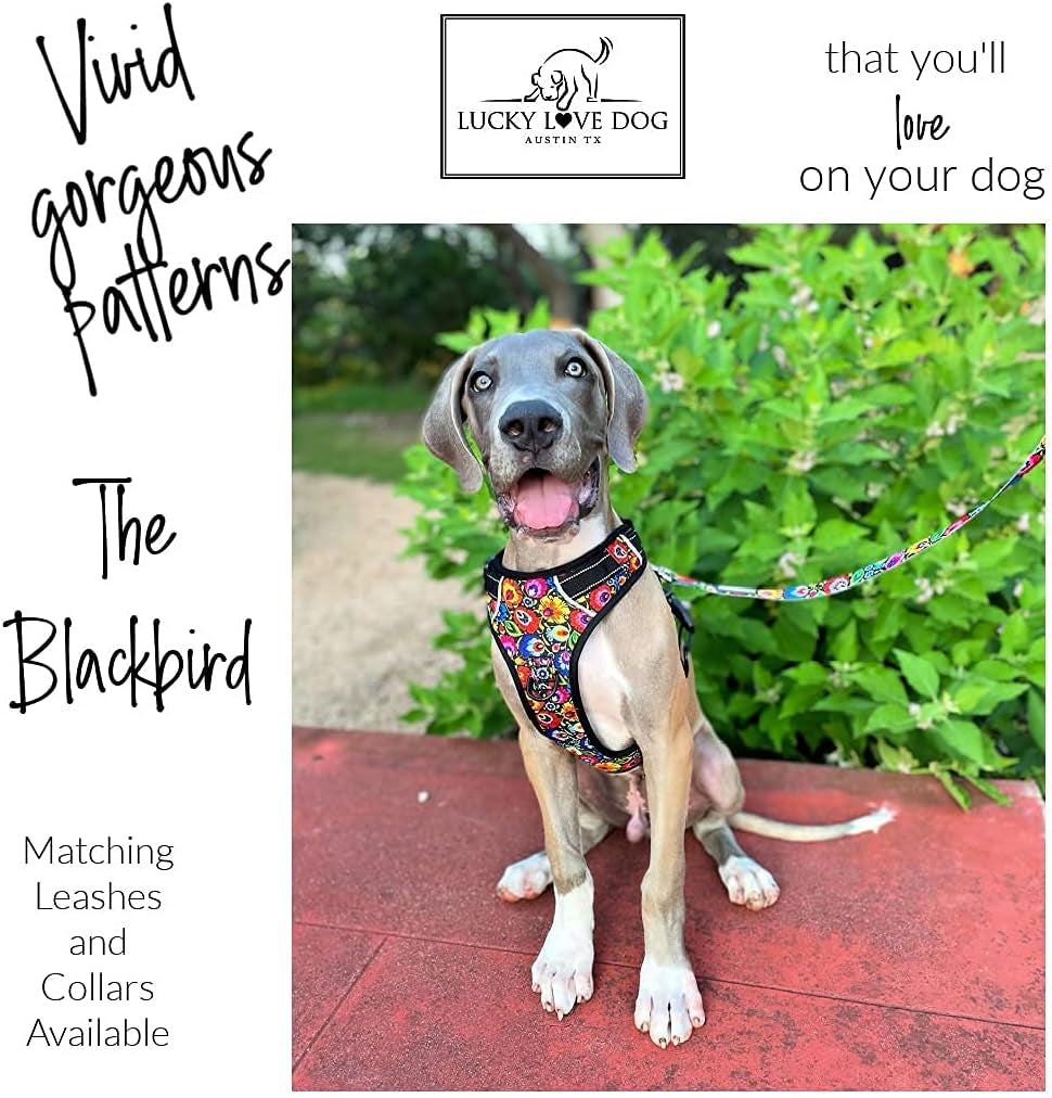lucky-love-dog-no-pull-dog-harness-adjustable-and-easy-to-walk-cute-patterned-harness-for-medium-male-female-dogs-blackbird-medium
