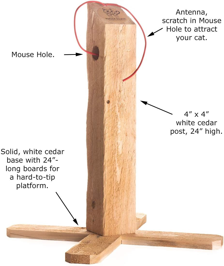 cat-scratching-post-24-cedar-post