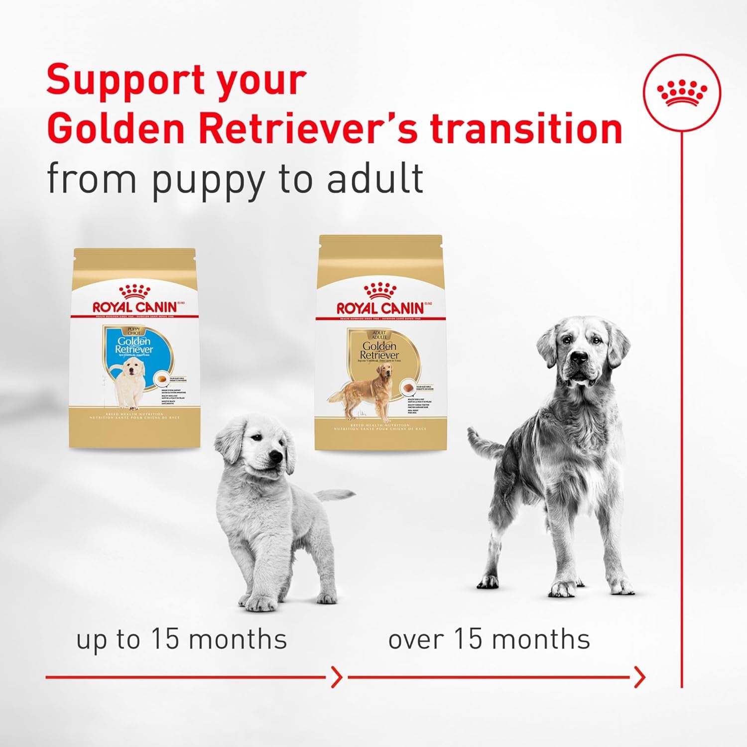 royal-canin-golden-retriever-adult-dry-dog-food-30-lb-bag