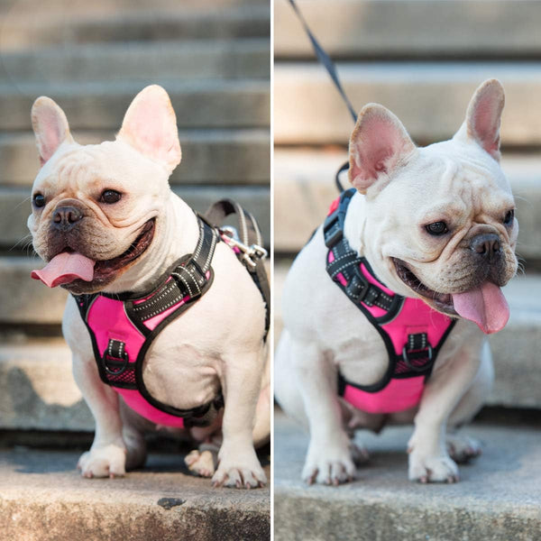 Poypet No Pull Dog Harness, No Choke Front Lead Dog Reflective Harness, Adjustable Soft Padded Pet Vest with Easy Control Handle for Small to Large Dogs(Pink, Medium)9