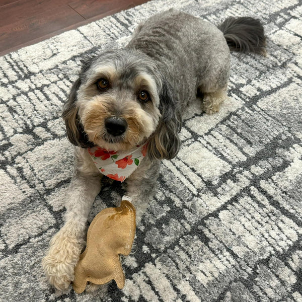 SPOT Dura-Fused Leather Rabbit Dog Toy – Durable Real Leather & Jute Chew Toy with Squeaker, Double-Stitched for Moderate Chewers, Small & Medium Dogs, 7.5In6