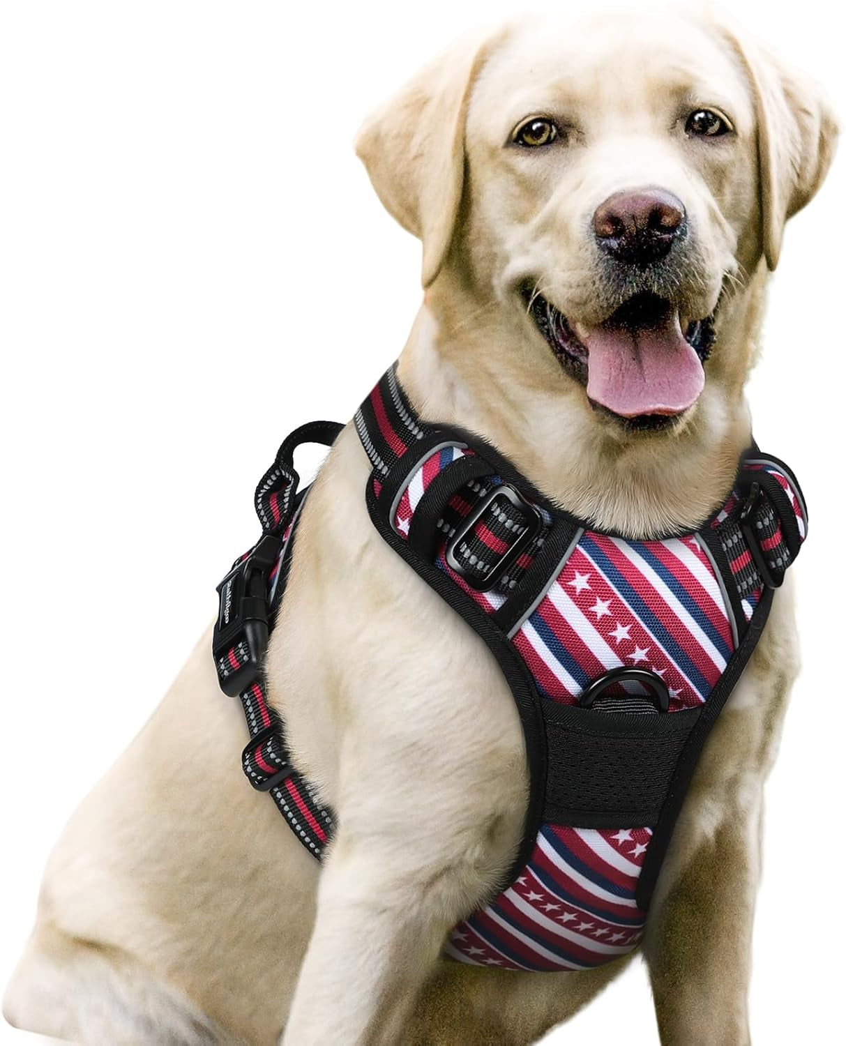 rabbitgoo-dog-harness-no-pull-for-large-dogs-with-2-leash-clips-pet-vest-no-choke-with-handle-adjustable-soft-padded-reflective-easy-control-for-walking-black-large