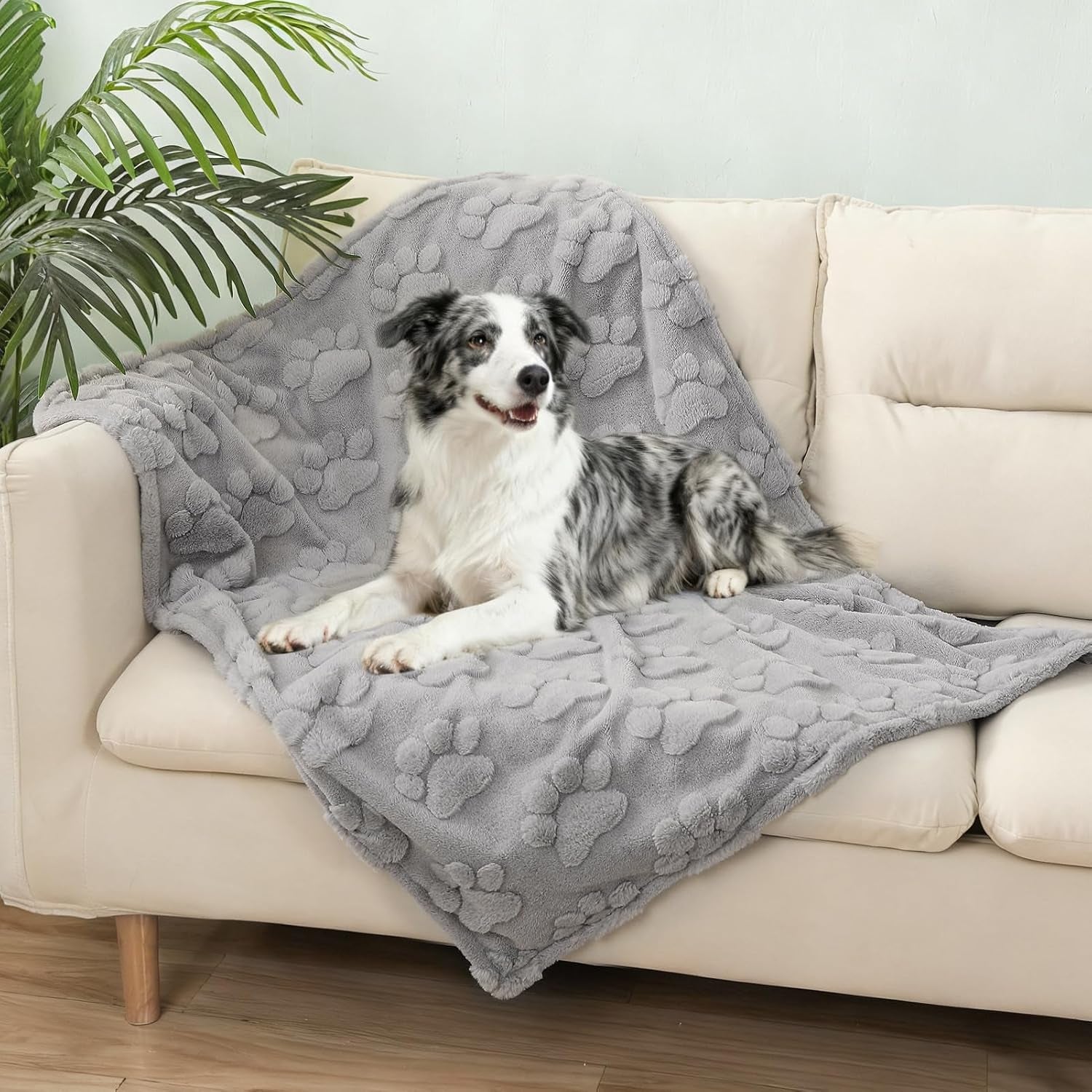 beautyzoo-waterproof-dog-blankets-for-large-dogs-dog-blanket-for-couch-sofa-bed-super-soft-premium-coral-fleece-throw-cat-puppy-blanket-reversible-furniture-protector-washable-pet-blanket-40x60in