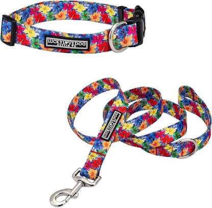 Lucky Love Dog - Easy Click Buckle Dog Collar with Leash Set Combo, Durable & Comfortable for Male & Female Dogs, Pet Collar for Medium Dogs, Secure Fit - Blackbird Combo, Medium12