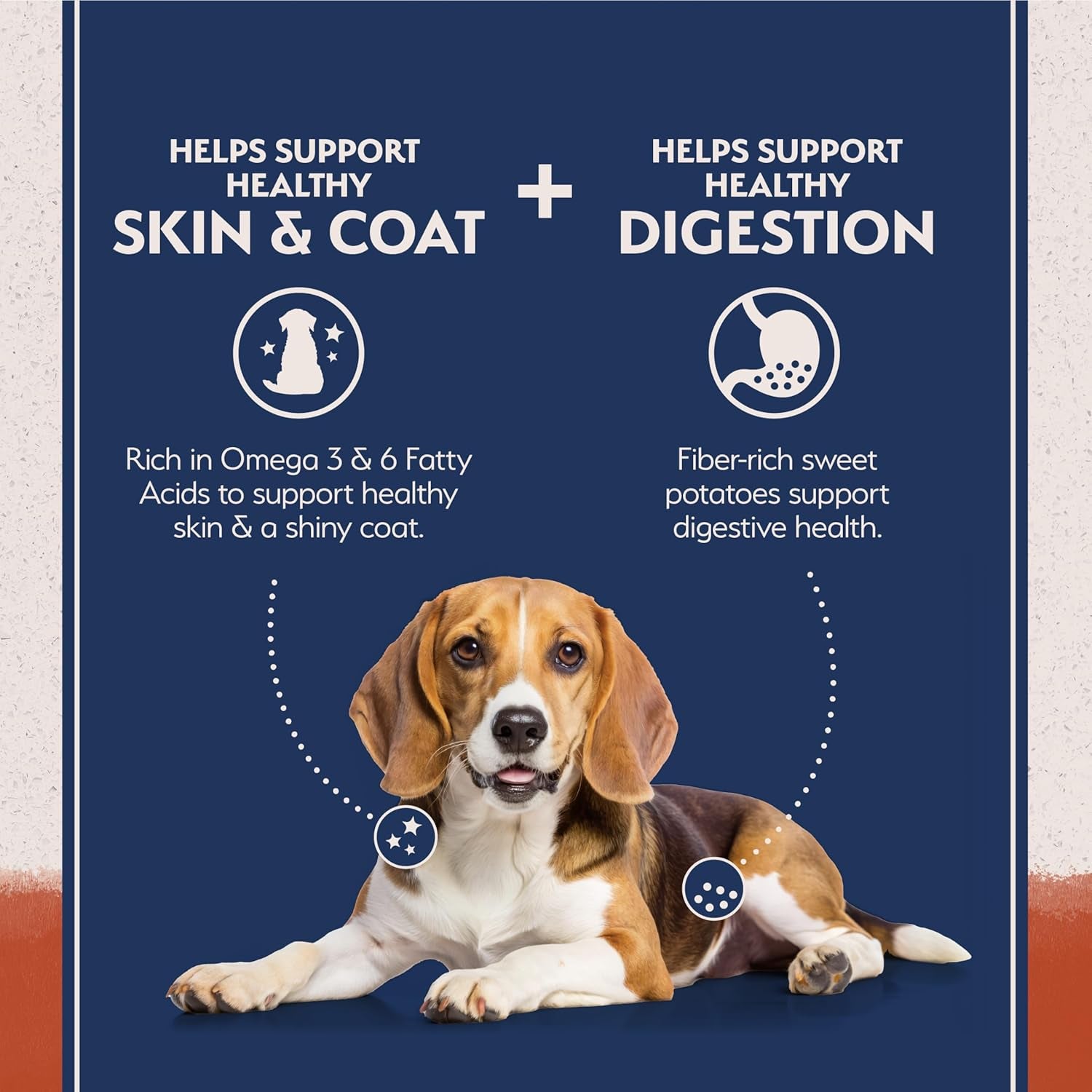 natural-balance-limited-ingredient-adult-dry-dog-food-balanced-nutrition-for-adult-dogs-grain-free-soy-free-recipe-limited-ingredient-formula-24-lb-salmon-sweet-potato-recipe