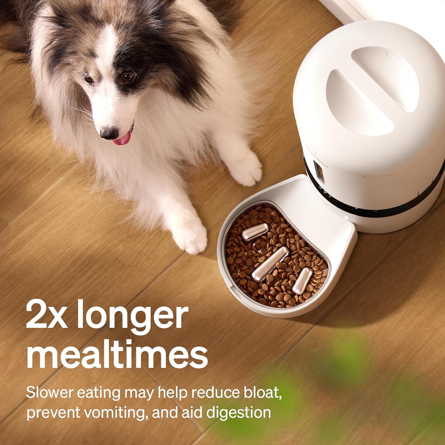 petlibro-slow-feeder-bowl-for-small-dogs-cats-1-125-cup-anti-gulp-stainless-steel-dog-cat-bowl-helps-reduce-risk-of-bloat-dishwasher-safe-compatible-with-petlibro-camera-automatic-feeder