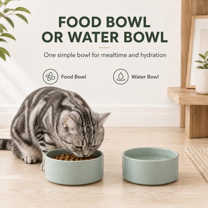 Havniva Cat Bowls Set of Two, 5.1” Ceramic Cat Food and Water Bowls | Cat Food Bowls Whisker Friendly, Non-Slip Base, Food-Grade Ceramic, Wide Opening, Dishwasher Safe, Cat Bowls for Indoor Cats7