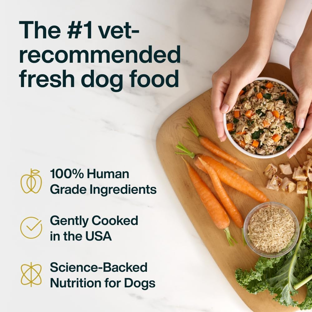 justfoodfordogs-pantry-fresh-wet-dog-food-complete-meal-or-topper-chicken-white-rice-human-grade-recipe-12-5-oz-pack-of-6