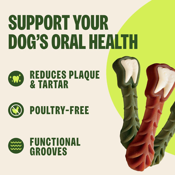 Whimzees Wellness Brushzees Natural Dog Dental Treat, VOHC Accepted Chews, Freshens Breath, Extra-Small Size, 12.7 Oz Bag, 48 Count5