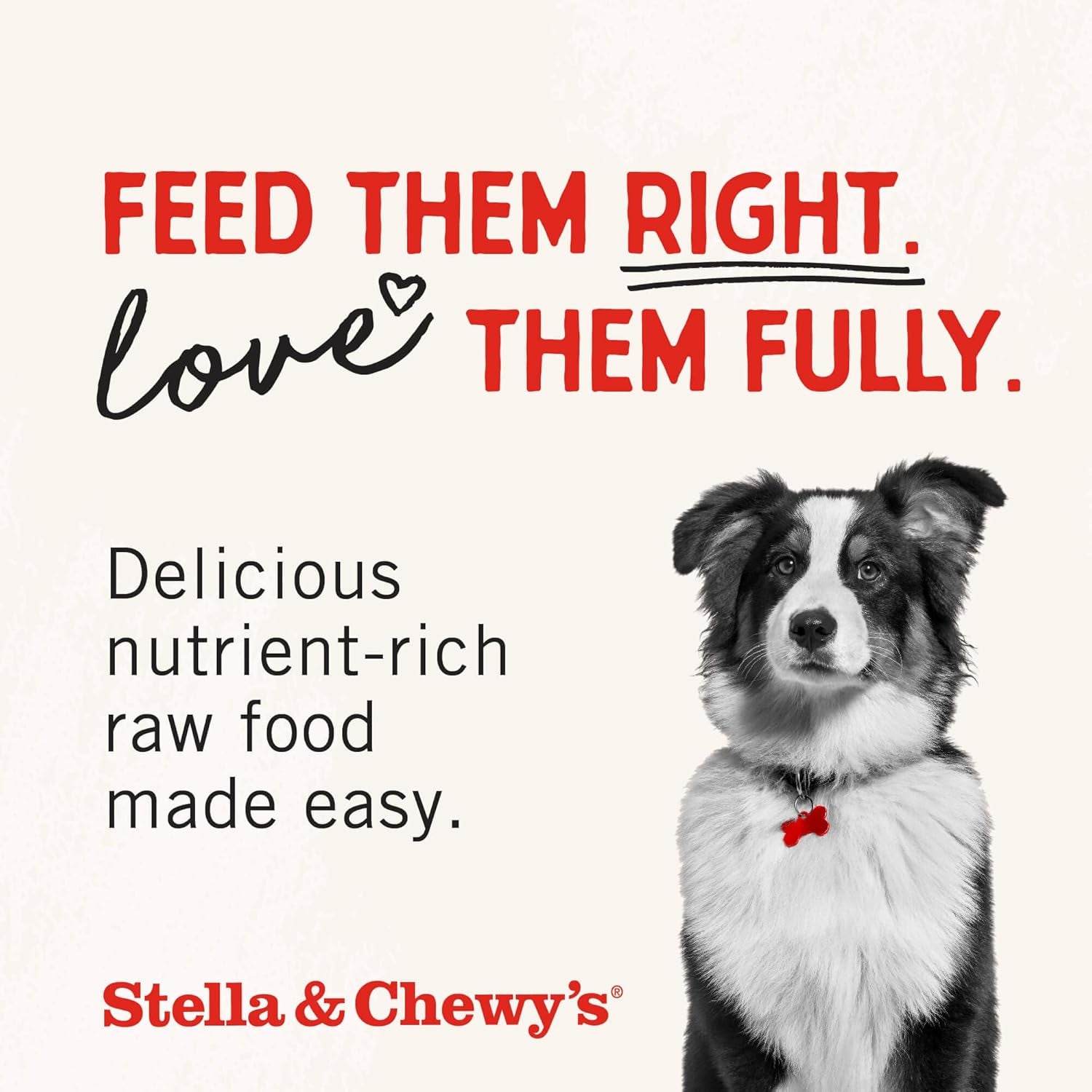 stella-chewys-freeze-dried-raw-chicken-breast-dog-treats-single-ingredient-no-additives-premium-training-treats-perfect-for-picky-eaters-2-75oz-bag