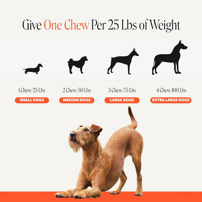 Pet Honesty Vet Recommended Hip and Joint Supplement for Dogs, 90 Count | Advanced Strength Dog Joint Supplement with Glucosamine Chondroitin, Chicken, Supports Mobility, Eases Stiffness7