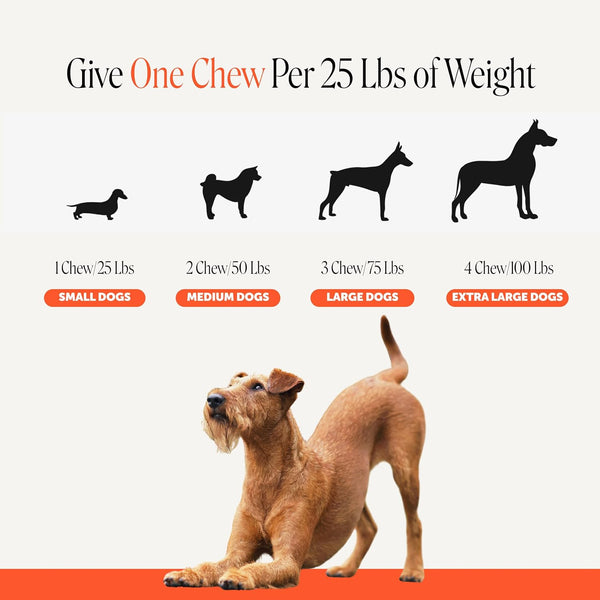 Pet Honesty Vet Recommended Hip and Joint Supplement for Dogs, 90 Count | Advanced Strength Dog Joint Supplement with Glucosamine Chondroitin, Chicken, Supports Mobility, Eases Stiffness7