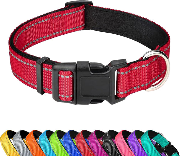 Reflective Dog Collar, Adjustable Soft Neoprene Padded,Teal,M | Breathable Nylon for Medium Dogs,Tear-Resistant Webbing,Chafe‑Free on Walks and Hikes,Metal D-Ring,Night Safety19