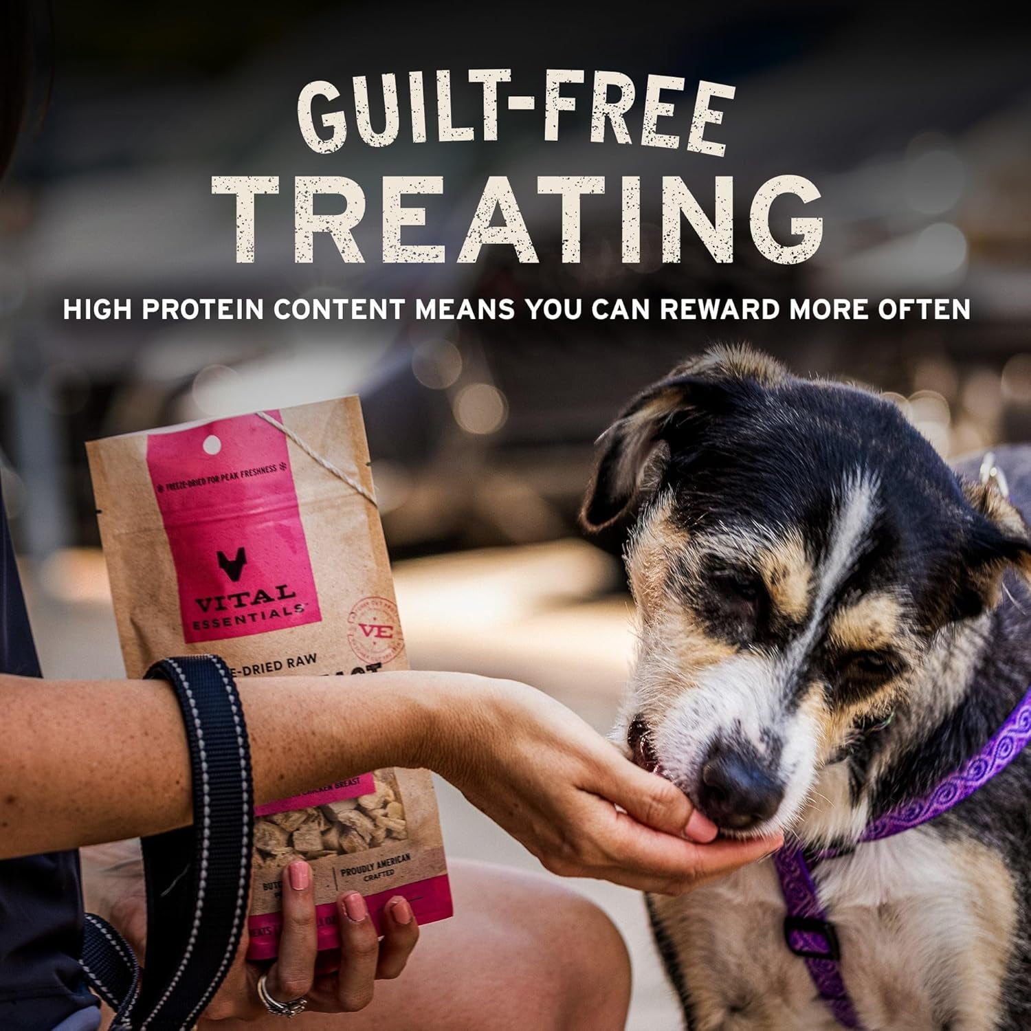 vital-essentials-freeze-dried-minnows-dog-treats-1-oz-bag-single-ingredient-100-minnow-premium-quality-protein-grain-free-treats-usa-made-with-u-s-globally-sourced-ingredients