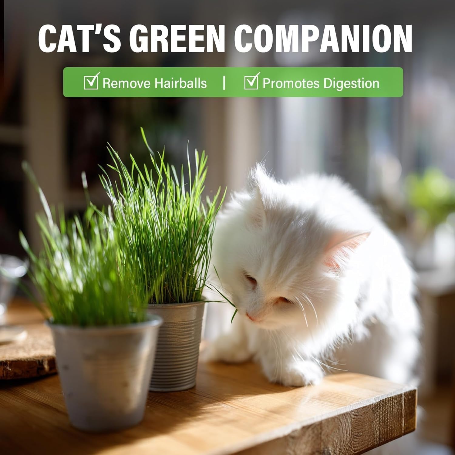 cat-grass-treats-for-indoor-cats-crunchy-wheatgrass-snacks-for-cats-120g-ready-to-eat-wheatgrass-treats-supports-natural-digestive-health-hairball-passage-grain-free-crunchy-for-dental-care