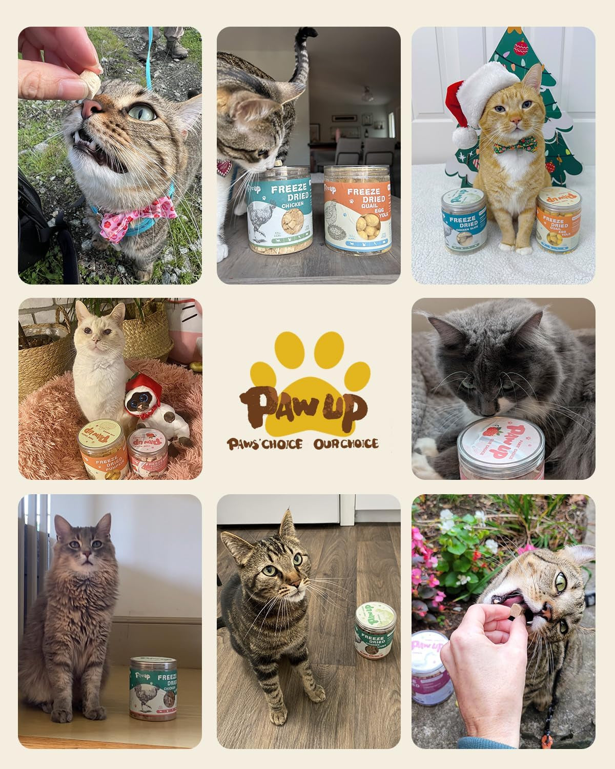 pawup-freeze-dried-chicken-cat-treats-high-protein-cat-snacks-10-pack-chicken-first-high-protein-interactive-feeding-daily-rewards-cat-lollipops-treat-birthday-cat-treat-interactive-feeding