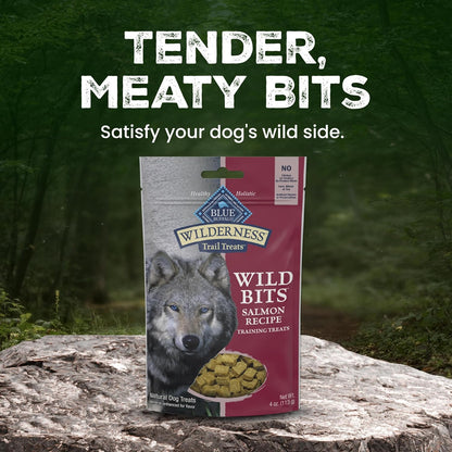 Blue Buffalo Wilderness Trail Treats Salmon Crunchy Dog Biscuits, Grain-Free & High-Protein, Bite-Sized Training Treats Made with Real Salmon & Natural Ingredients, 10-Oz Bag7