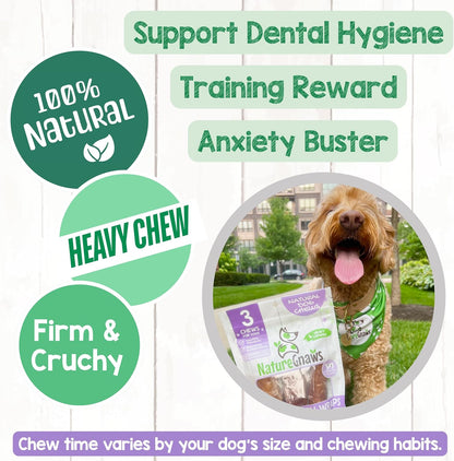 Nature Gnaws Beef Trachea Crunch Wraps for Dogs (3 Count) - Long Lasting Natural Beef Jerky Dog Chew Bones - Rawhide Free4
