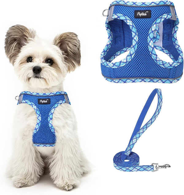 PUPTECK Dog Harness and Leash Set for Small Medium Dogs No Pull Step-In Soft Mesh Puppy Cat Vest Harnesses Reflective at Night, Green S49