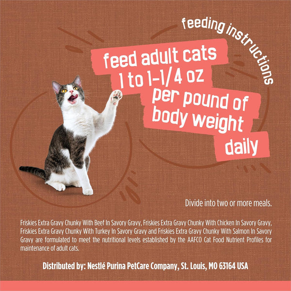 Purina Friskies Extra Gravy Wet Cat Food Chunky 24Ct Variety Pack (With Chicken, Turkey, Salmon, Beef) - (Pack of 24) 5.5 Oz. Cans8
