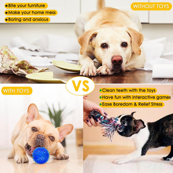 Aipper Dog Toys 25 Pack for Fun and Teeth Cleaning, Puppy Chew Toys Pack with Squeak Plush Toy,Squeaky Toy Balls,Tug of War and Rope Toys for Puppy to Small Dogs6