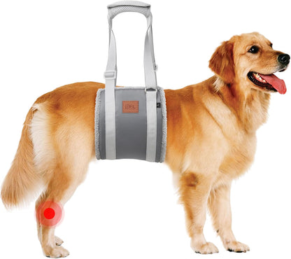 Adjustable Dog Lift Harness Dog Sling for Large Dogs Hind Leg Support Soft Lift Support and Rehab Harness for Weak Rear Legs, Helps Senior, Injured, Disabled and after ACL Surgery Dogs Large17