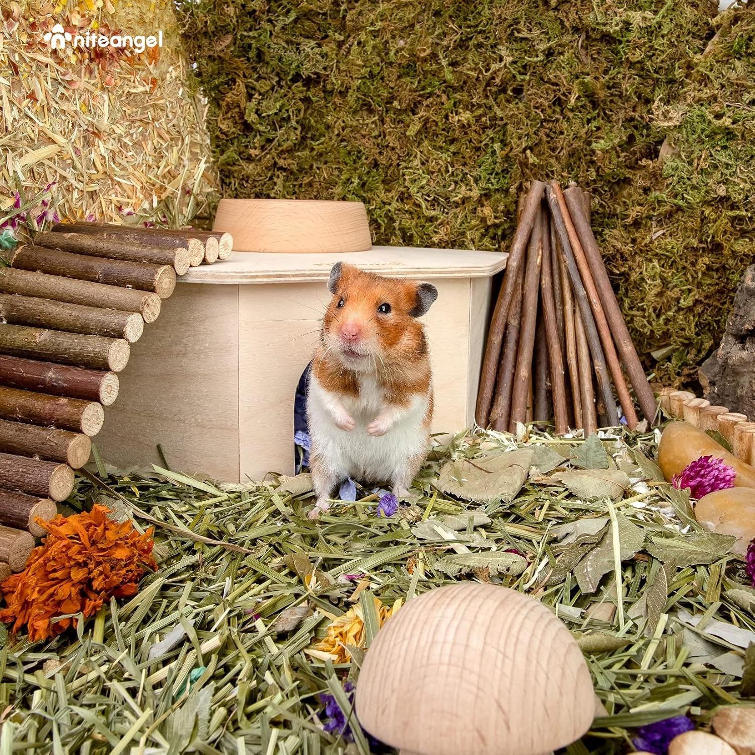 niteangel-birch-chamber-maze-hamster-hideout-small-pets-woodland-house-habitats-decor-for-hamster-mice-gerbils-mouse