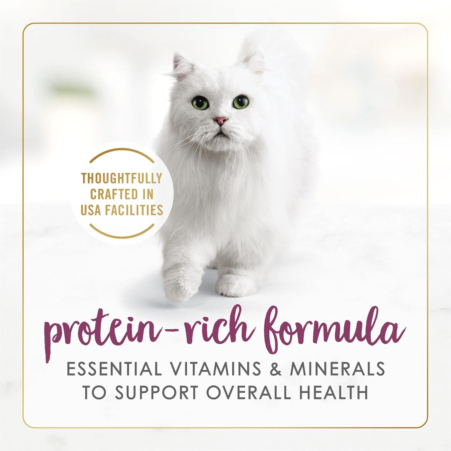 purina-fancy-feast-grilled-wet-cat-food-chicken-feast-in-wet-cat-food-gravy-pack-of-12-3-oz-cans
