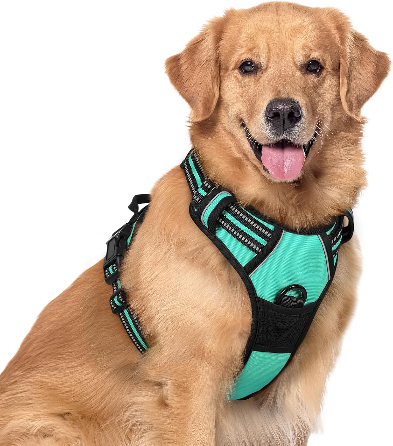 rabbitgoo-dog-harness-no-pull-for-large-dogs-with-2-leash-clips-pet-vest-no-choke-with-handle-adjustable-soft-padded-reflective-easy-control-for-walking-black-large