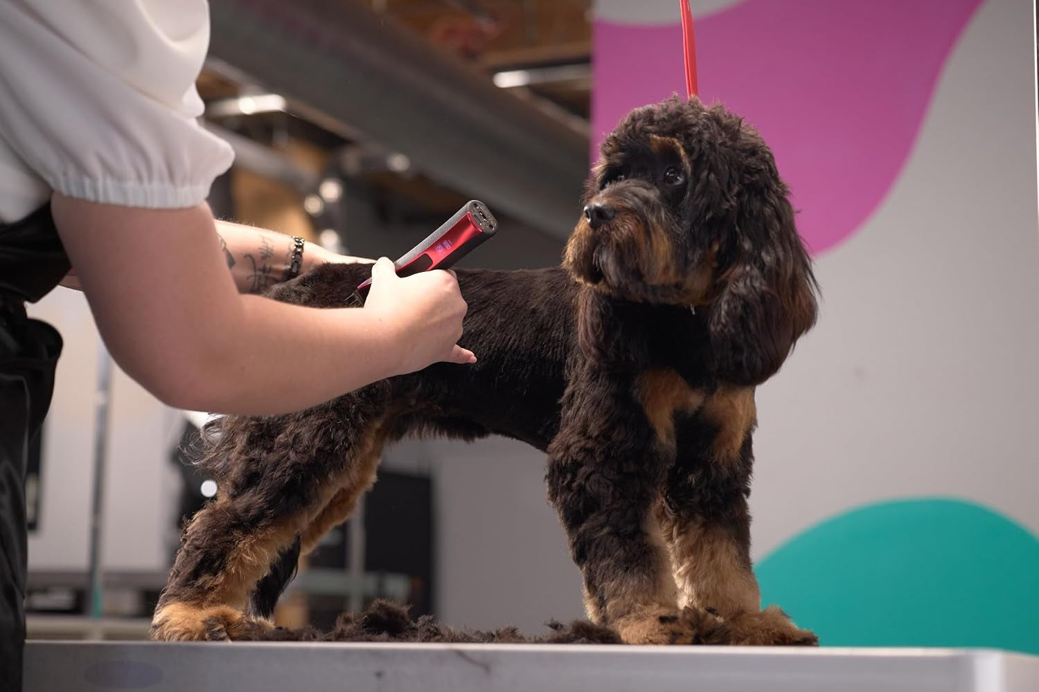 wahl-pro-animal-bravura2-cordless-professional-pet-clipper-for-dogs-cats-horses-multi-speed-durable-easy-to-carry-usb-charging-travel-friendly-comfortable-grip-brilliant-rose